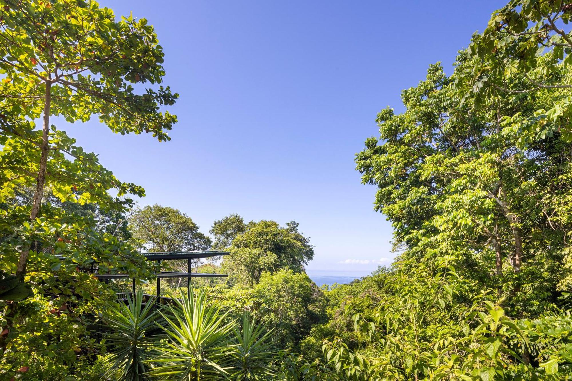 El Remanso Rainforest Lodge Puerto Jimenez Exterior photo