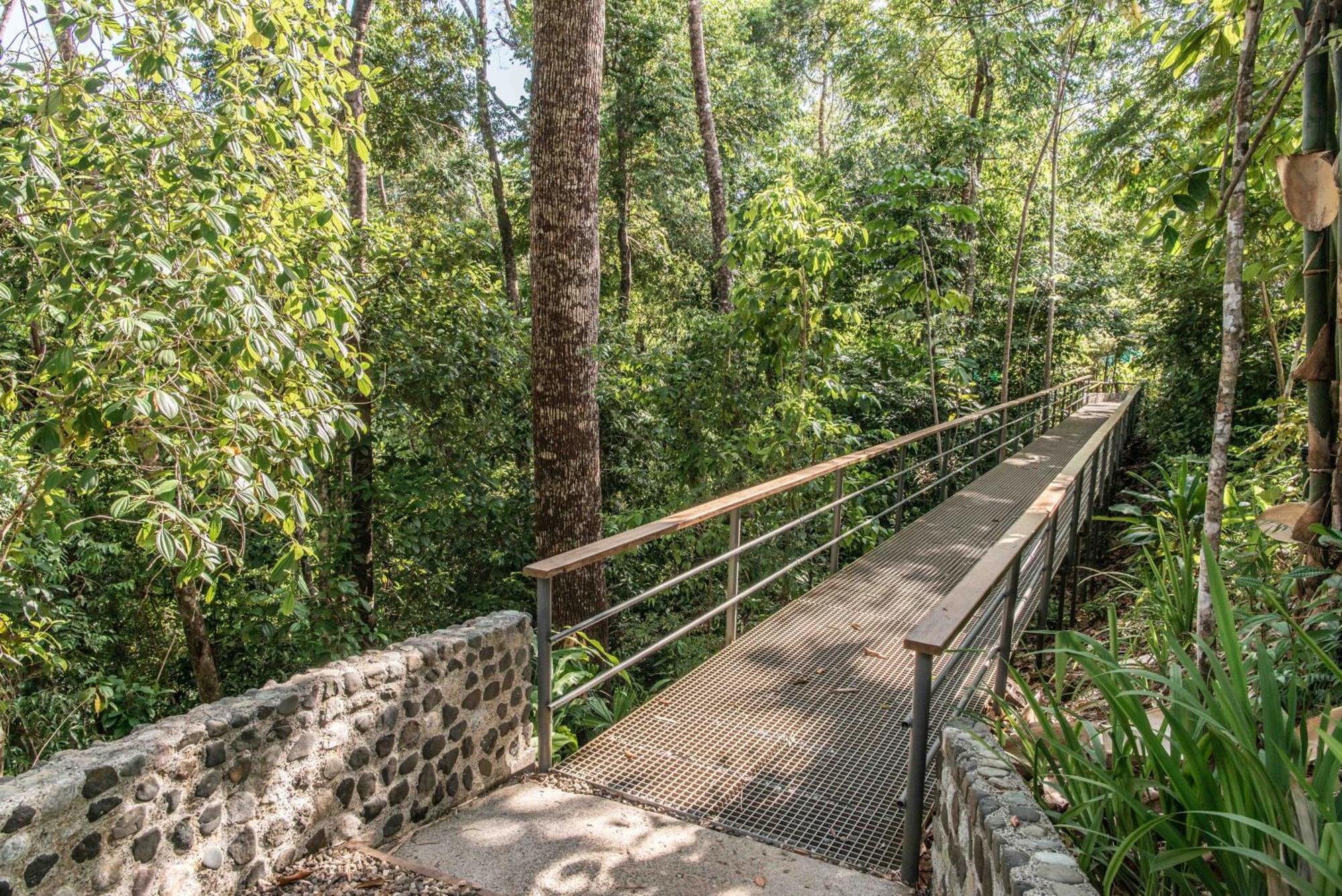 El Remanso Rainforest Lodge Puerto Jimenez Exterior photo